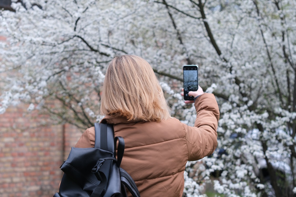 Mastering Composition in Mobile Photography: Techniques and Examples